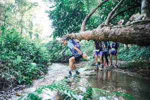 BIB: 
                            <button type="button" onclick="openModal(25442453)" class="btn btn-primary btn-sm float-right btn-popup" data-toggle="modal" data-target=".modal-high-quality">
                        <i class="fas fa-shopping-cart"></i> Add to Cart
                    </button>
                                            <button type="button" onclick="isThisMe(25442453, true)" class="btn btn-success btn-sm float-right btn-popup btn-isme hidden" data-toggle="tooltip" data-placement="bottom" title="นี่คือรูปของคุณใช่ไหม คลิกที่นี่เพื่อเอาเข้าอัลบั้ม">
                        <i class="fas fa-plus"></i> Add to album
                    </button>
                    <button type="button" onclick="isThisMe(25442453, false)" class="btn btn-warning btn-sm float-right btn-popup btn-isnotme hidden">
                        <i class="fas fa-ban"></i> Remove from album
                    </button>